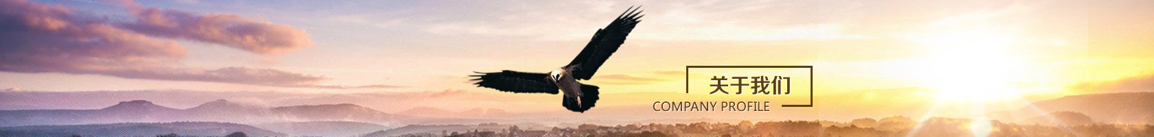 關于我們